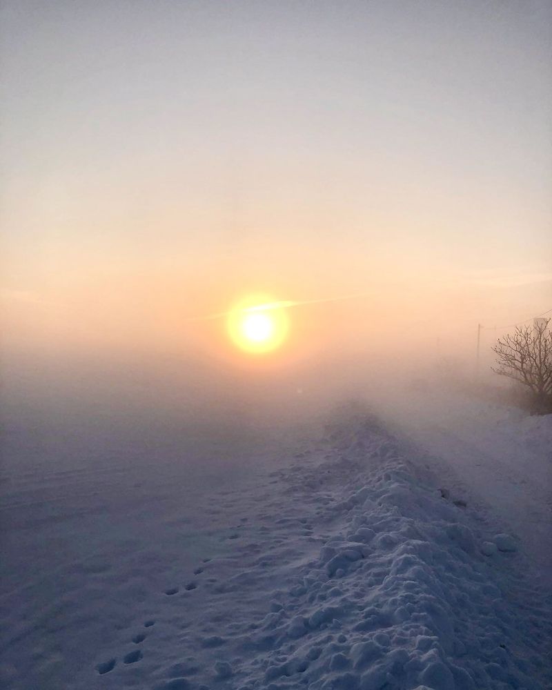 Photograph by Лариса Акинчиц