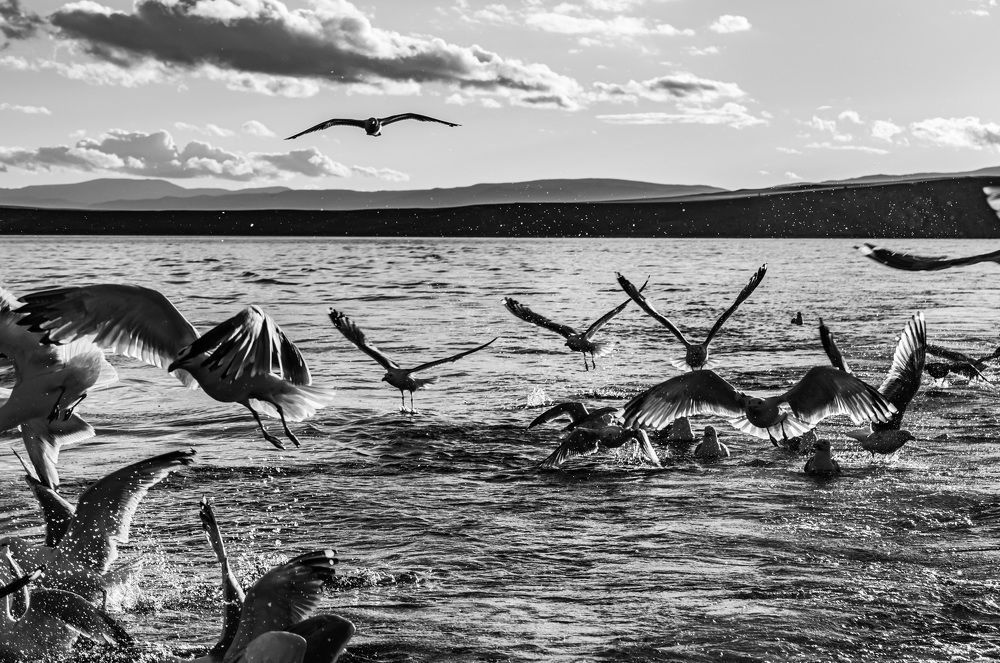 Фотография автора Рохмистрова Мария