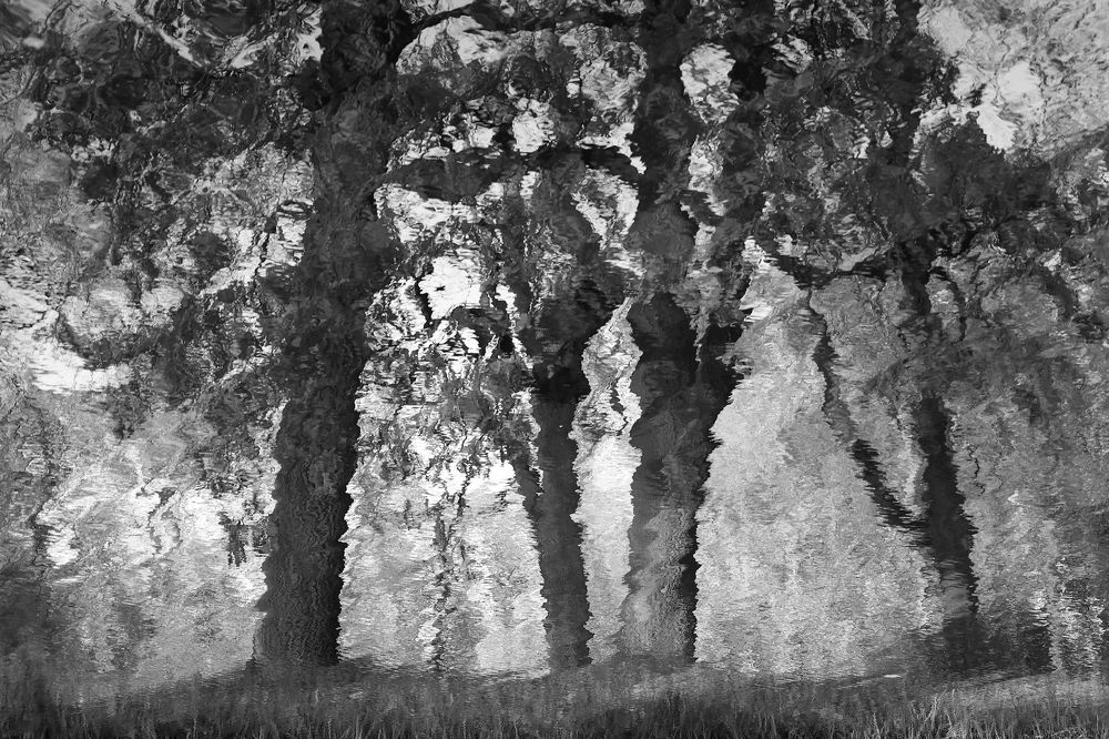 Photograph by Андрей