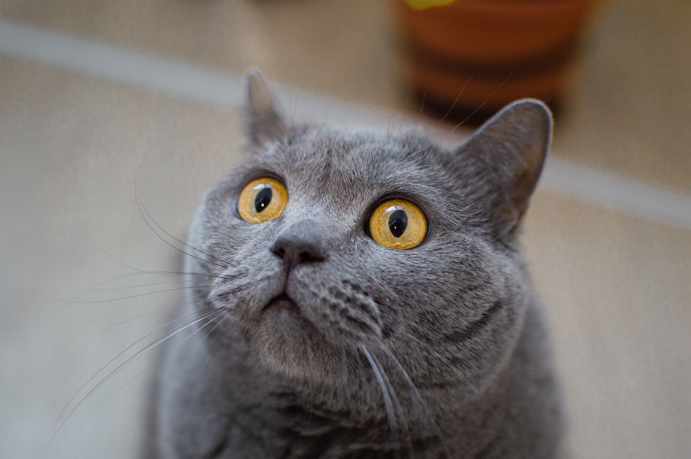 Photograph by Оксана Смирнова