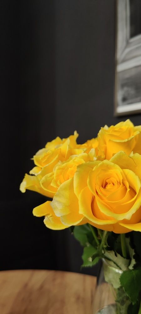 Photo #8855763
