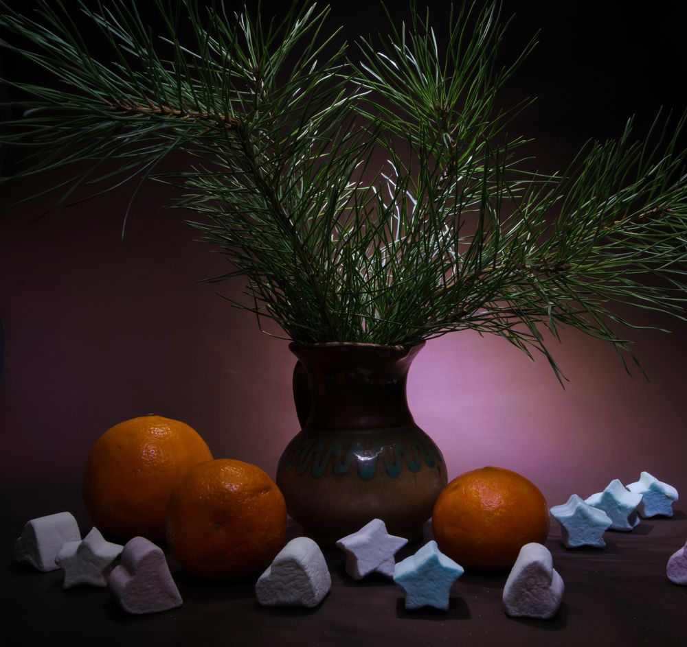 Photograph by Ольга Заповедная