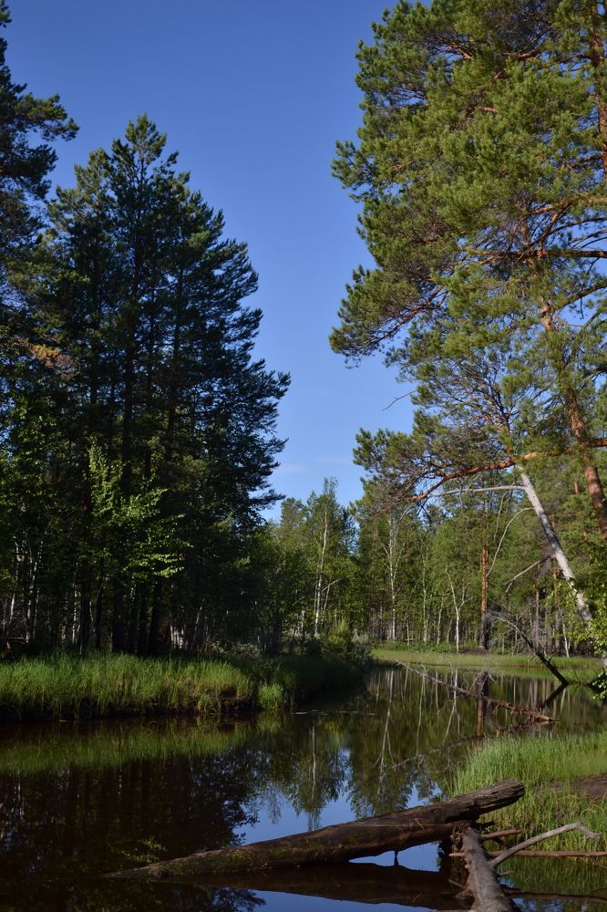 Photograph by Оксана Радзиевская