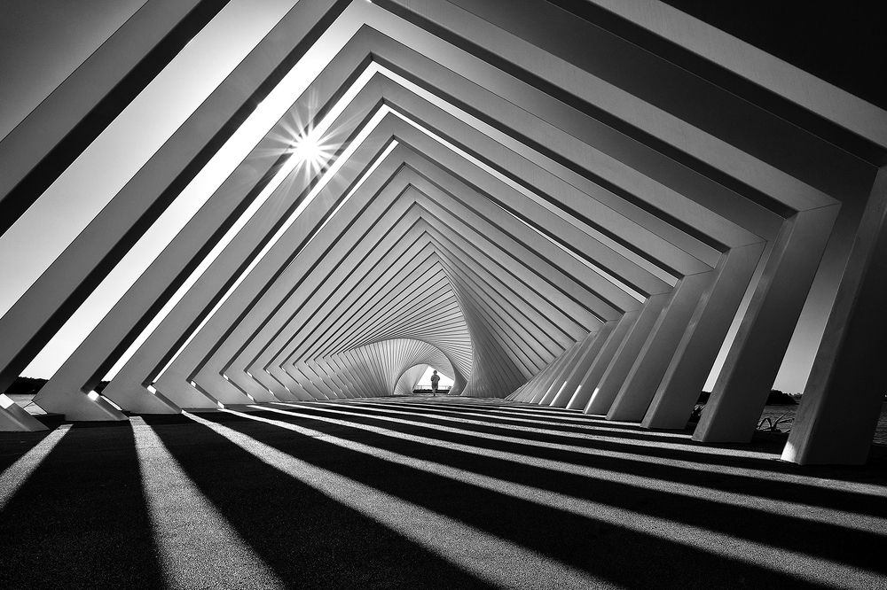 Photograph by Shyjith Onden Cheriyath