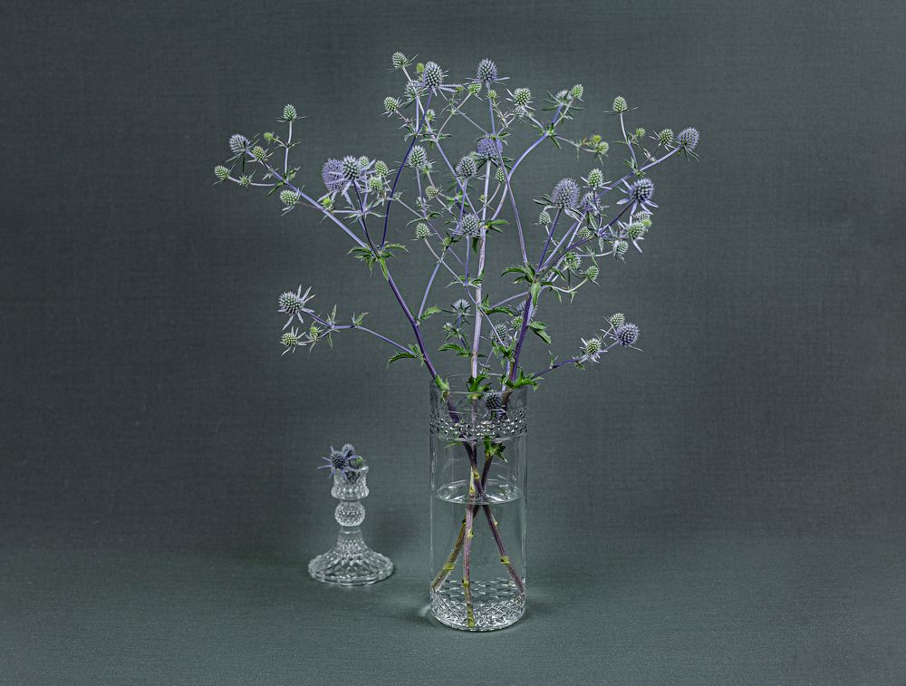 Photograph by Марина Бердяева