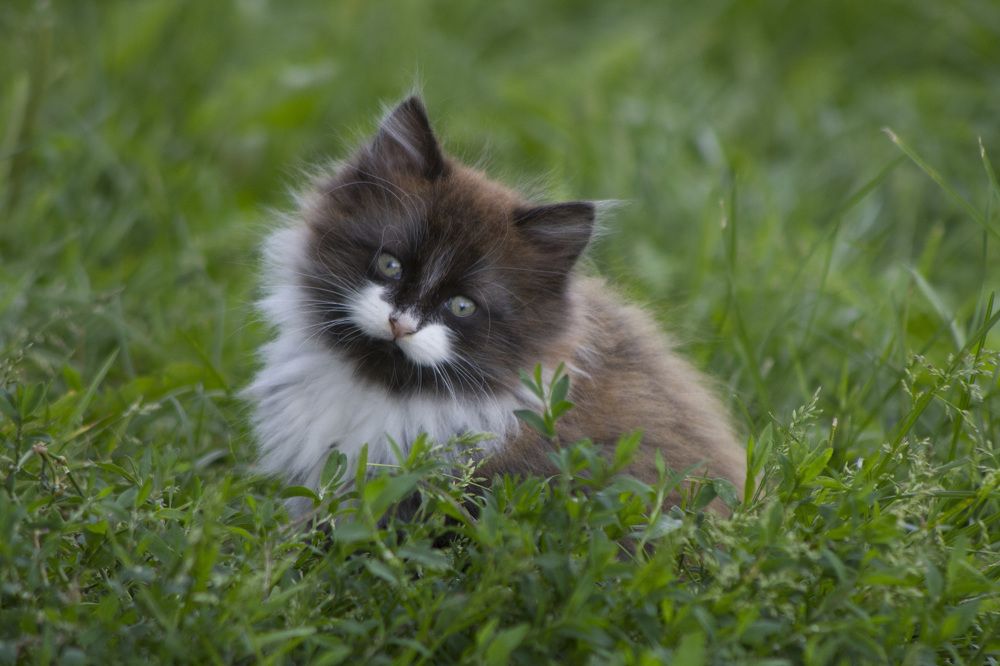 Photograph by Александр Новиков