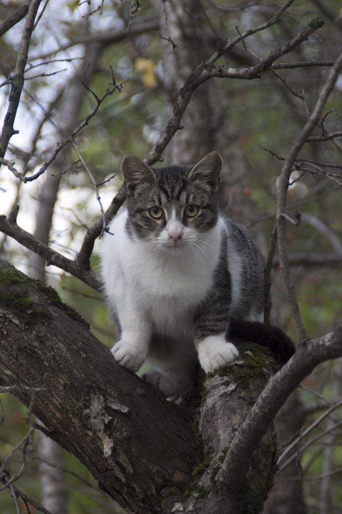 Photograph by Александр Новиков