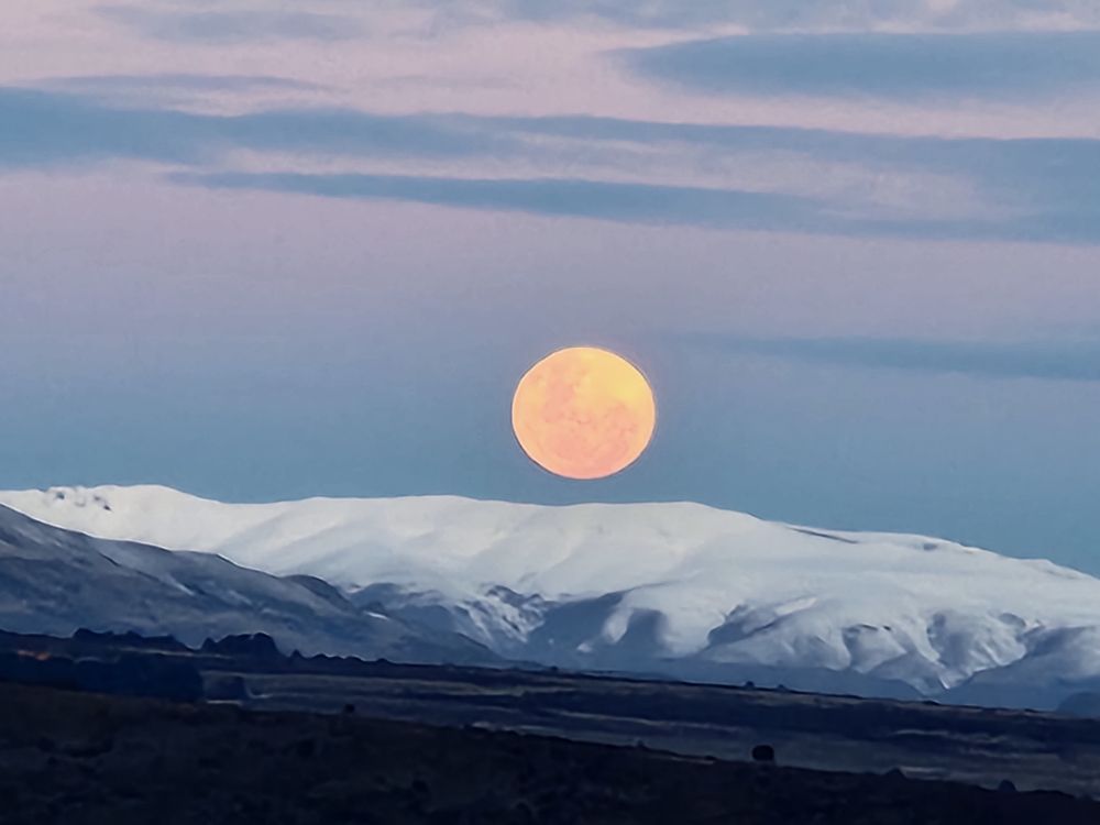 Photograph by Natalia