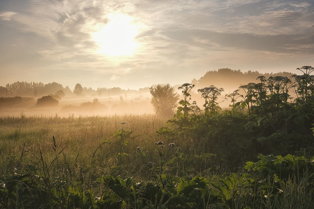 Photograph by Галина Юдина