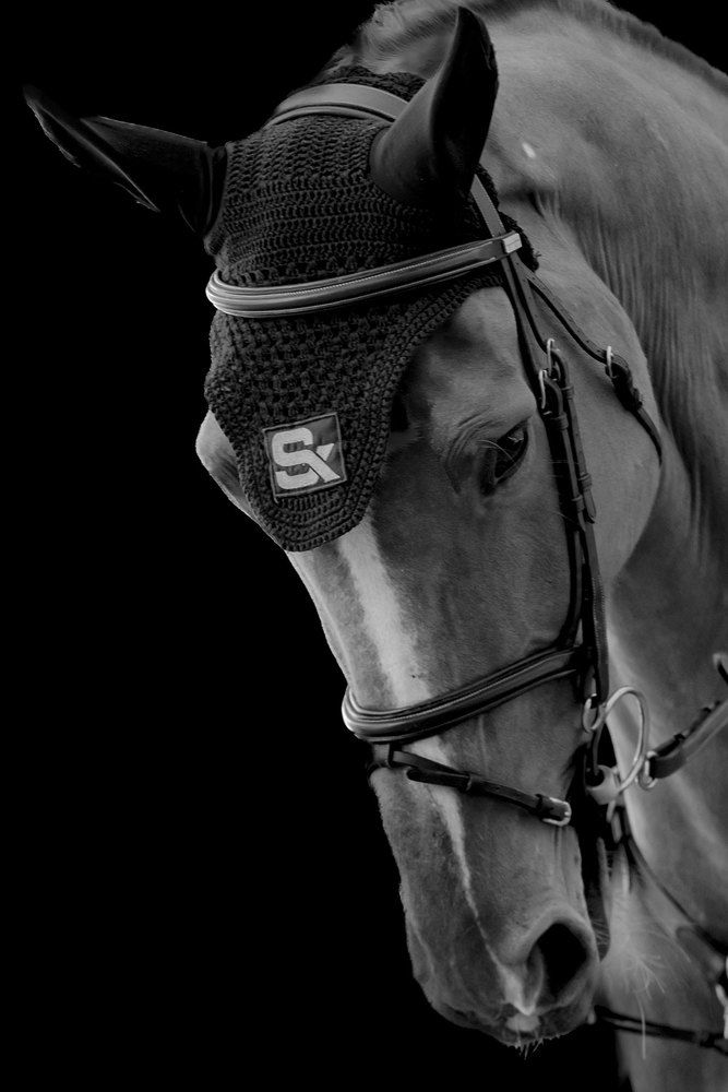 Photograph by Manuel J. Domínguez Jiménez