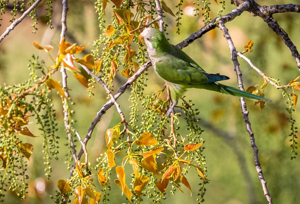 Photograph by Максимова Дария