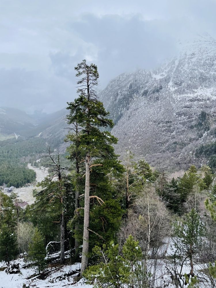 В горах Кавказа