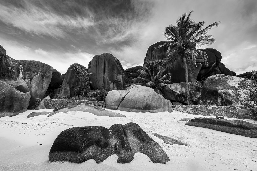 Photograph by Геннадий Зеленковец