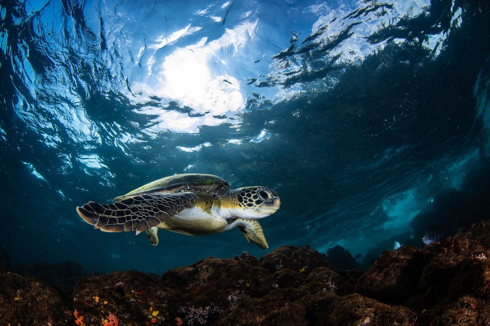 Photograph by Carlos Eduardo Barreto Pinheiro