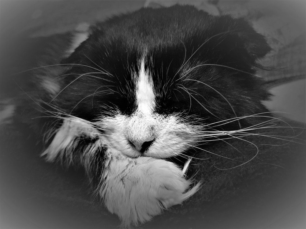 Photograph by Яна Галимуллина