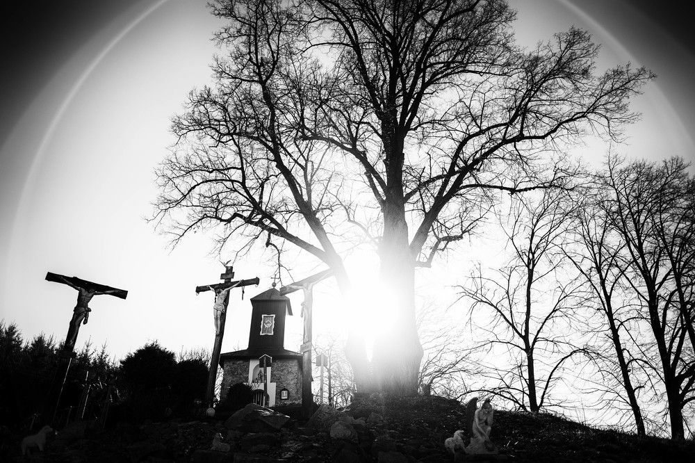 Фотография автора Josef Nový