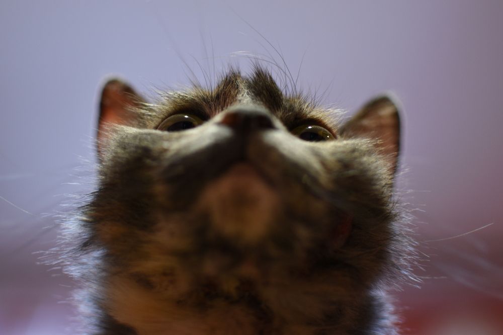 Photograph by Натали Тульская