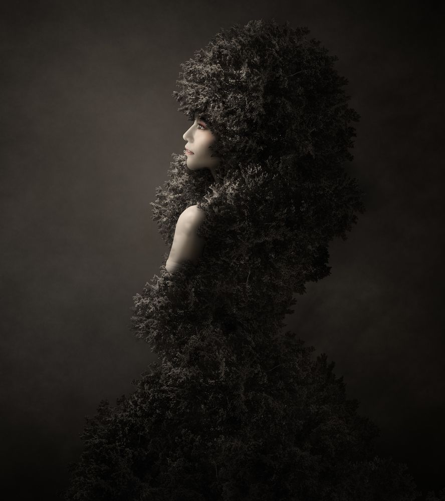 Photograph by KAWAKAMI KAZUTOSHI