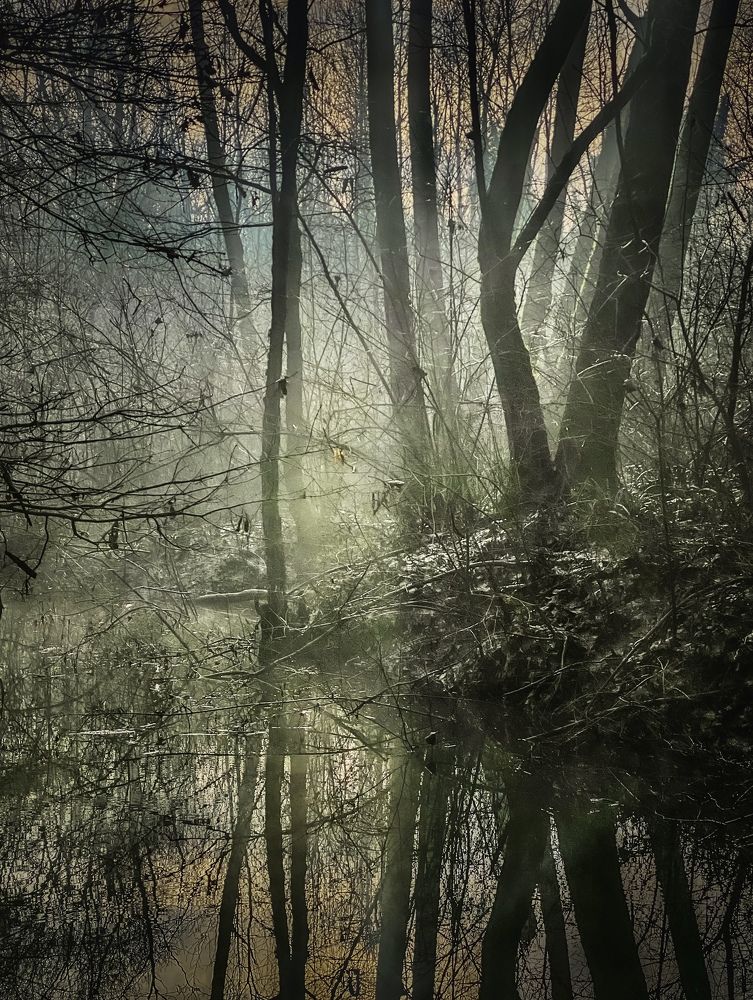 Photograph by Nebojsa Kavaric