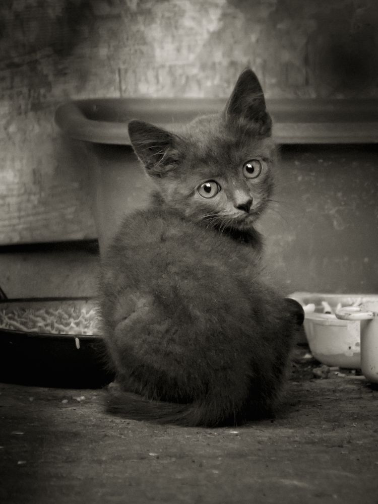 Photograph by Olga Snai