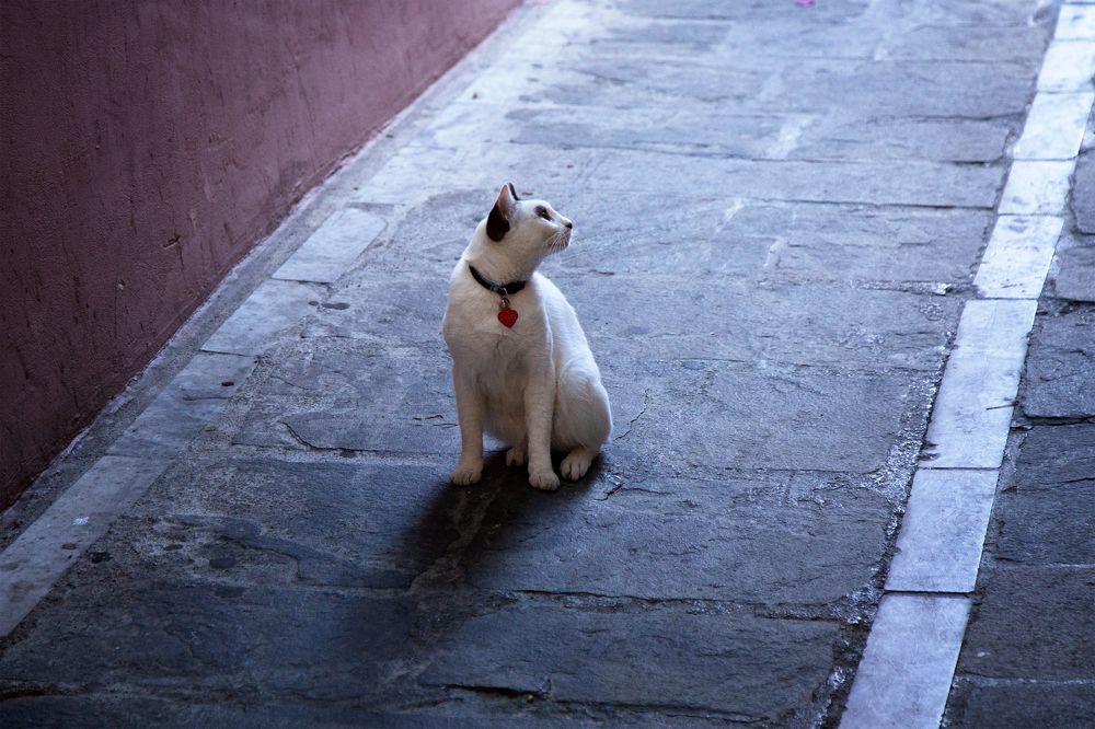 Фотография автора Оксана Мерзликина