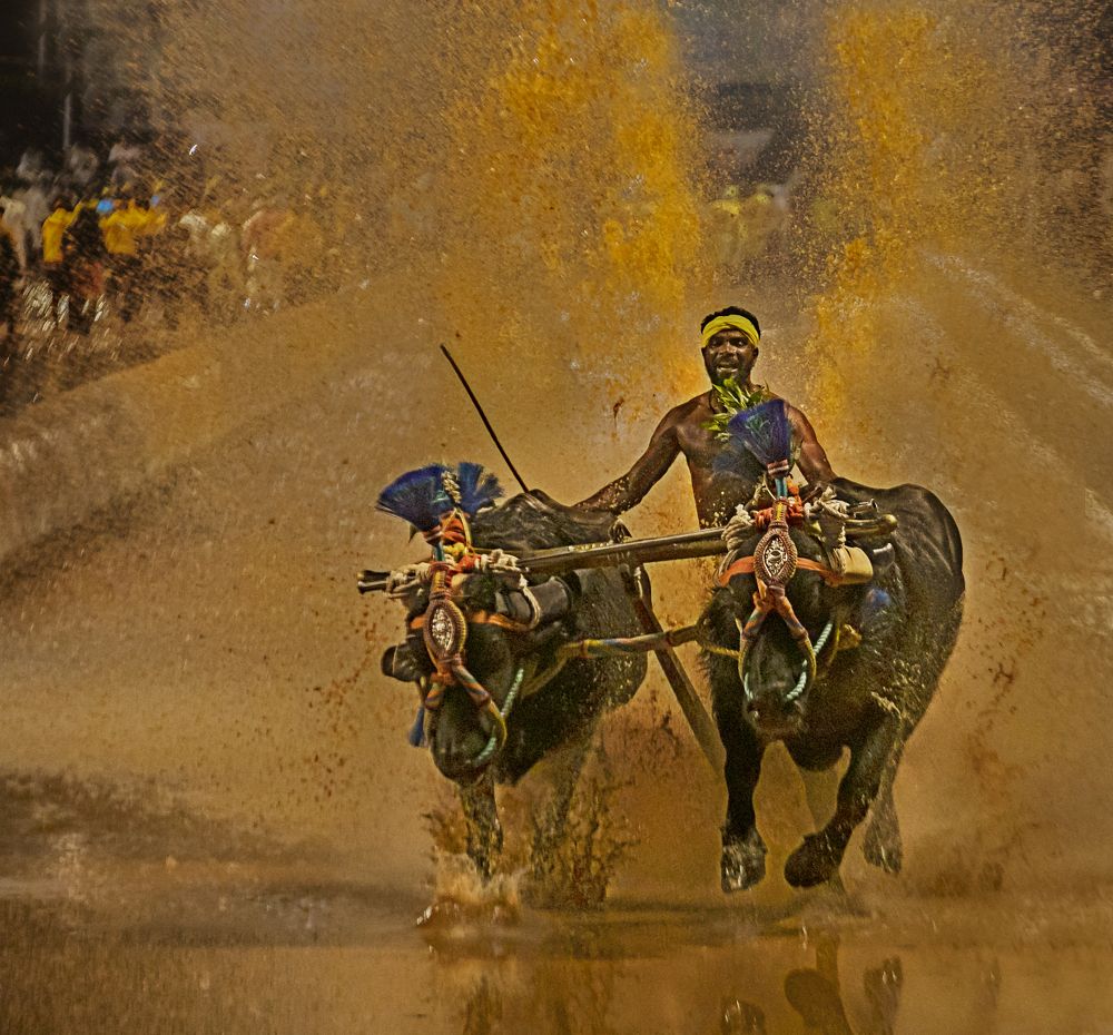 Photograph by LOKANATH MUDA