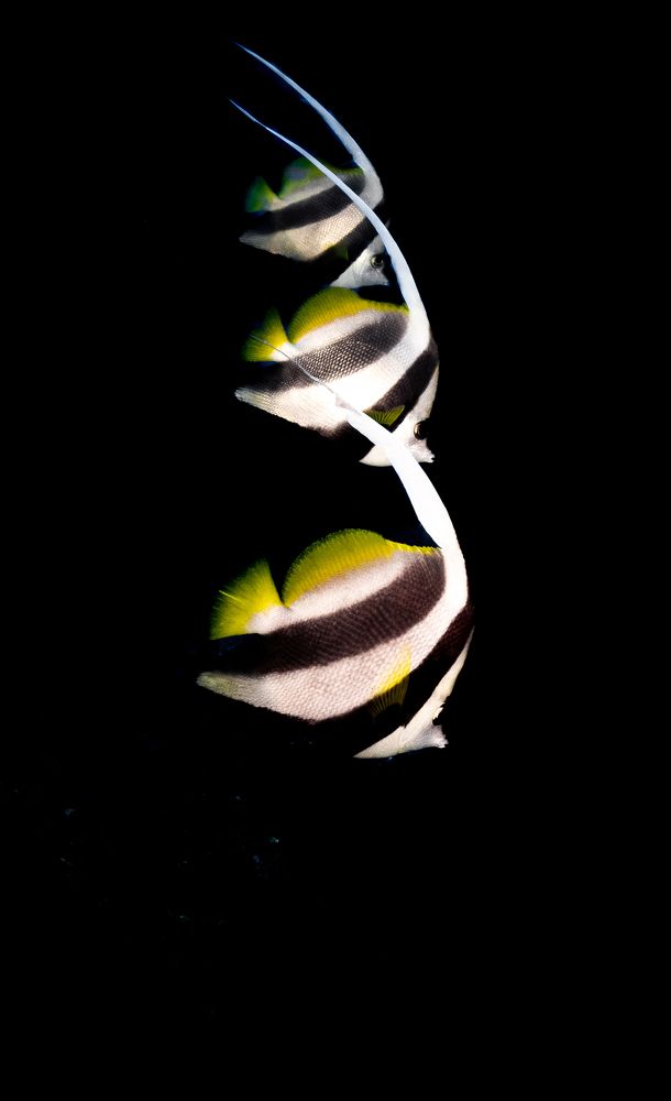 Photograph by Cecilia Muniz