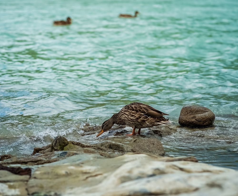 Photograph by Олеся Владимирова