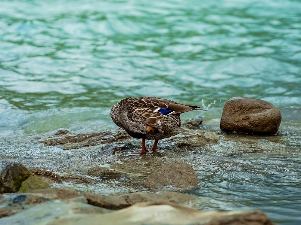 Photograph by Олеся Владимирова
