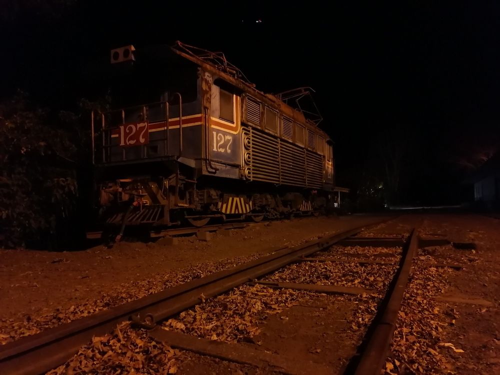 Photo #8856564