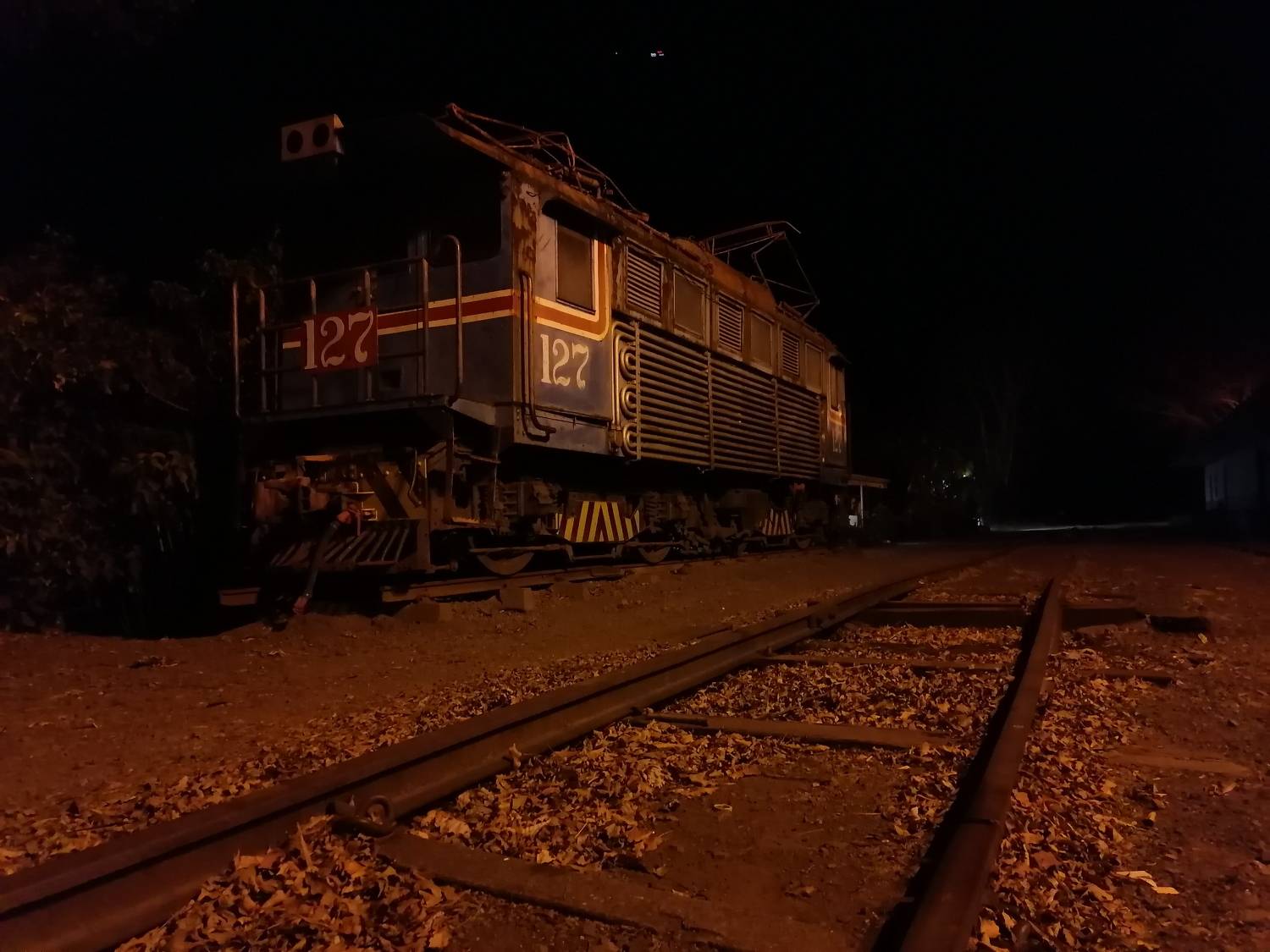 Photo #8856564