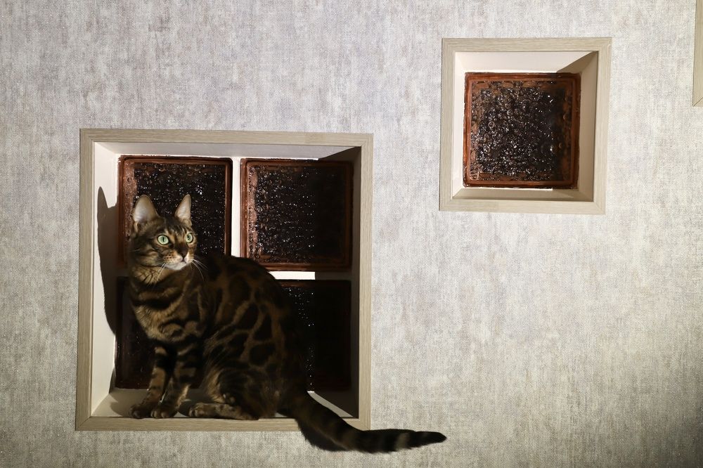 Photograph by Оксана Соколова