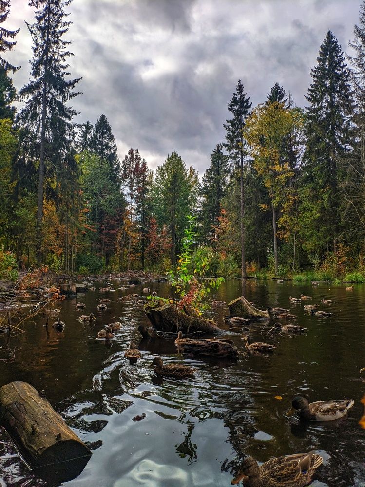 Photograph by Лев Кауфман