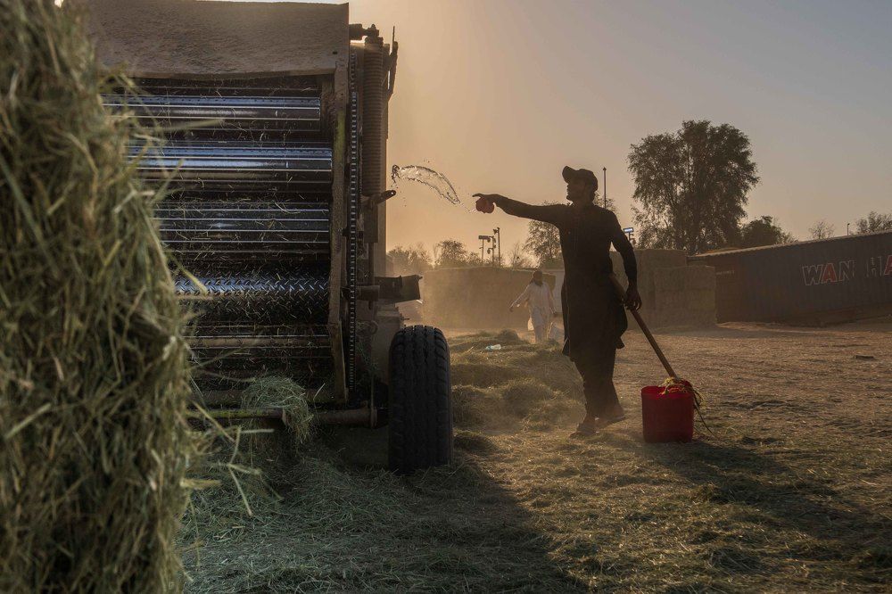 Photograph by Zubair Irshad