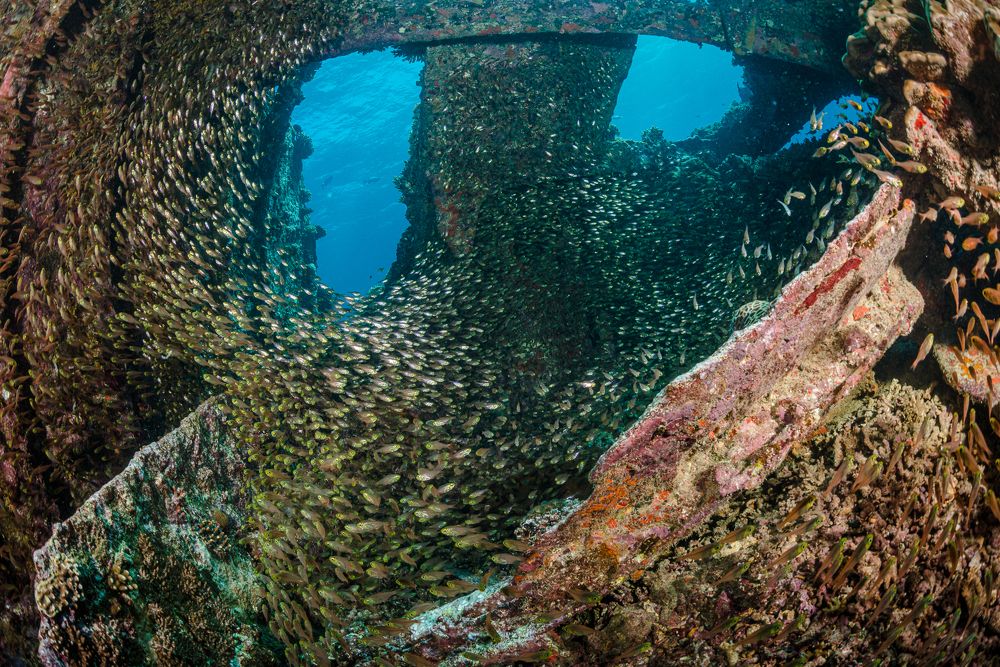 Photograph by Nadya Kulagina