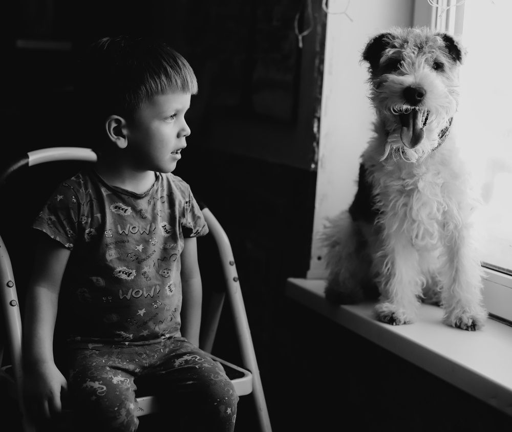 Photograph by Елена Шпилевая