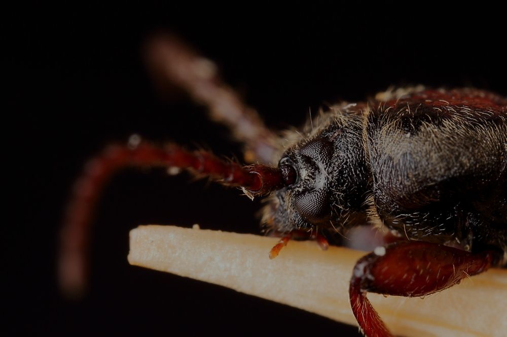 Photograph by Виктор Ноговицин