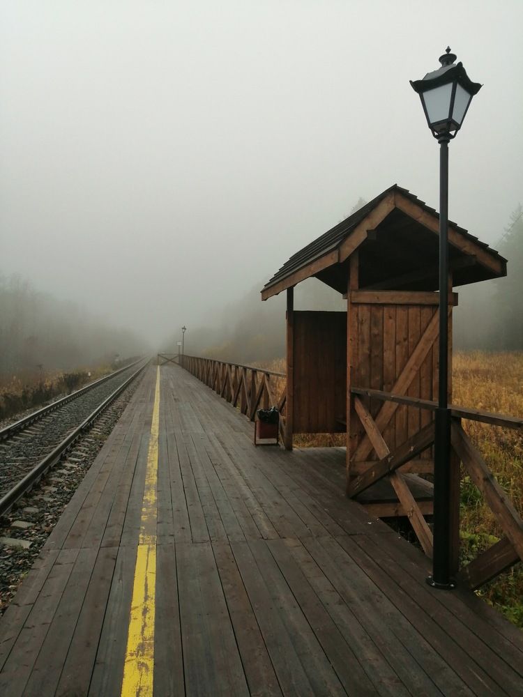 Photograph by Анна Стрельченко