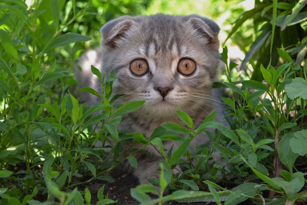 Photograph by Анастасия Маклакова