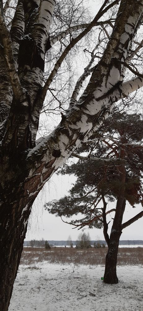Photograph by Ольга