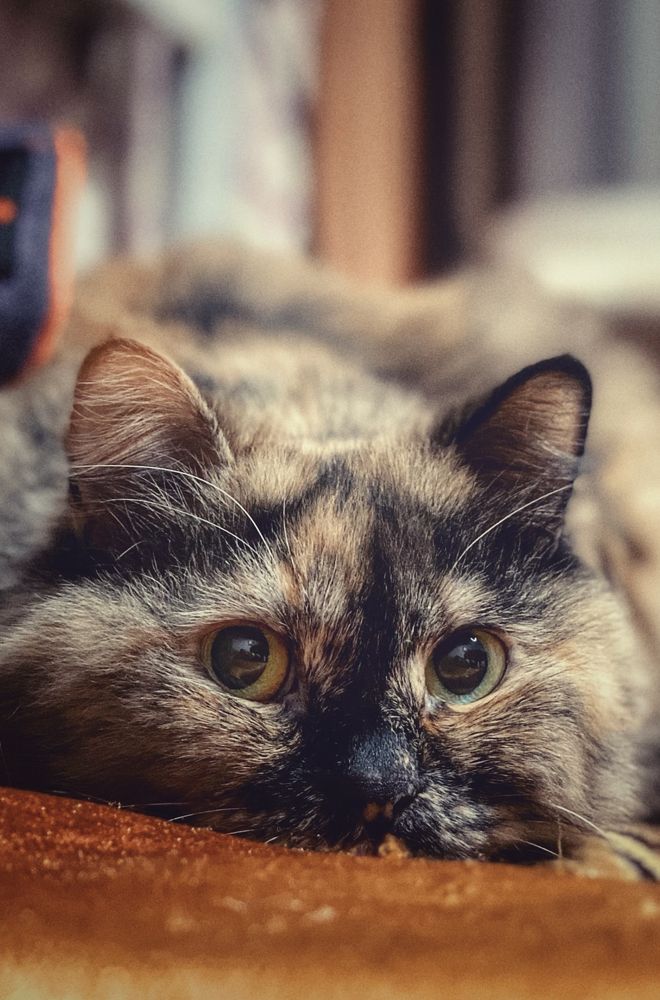 Photograph by Evgenia Privalova