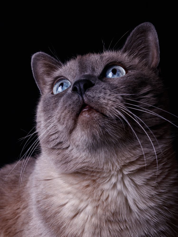 Photograph by Evgeniy Savikov