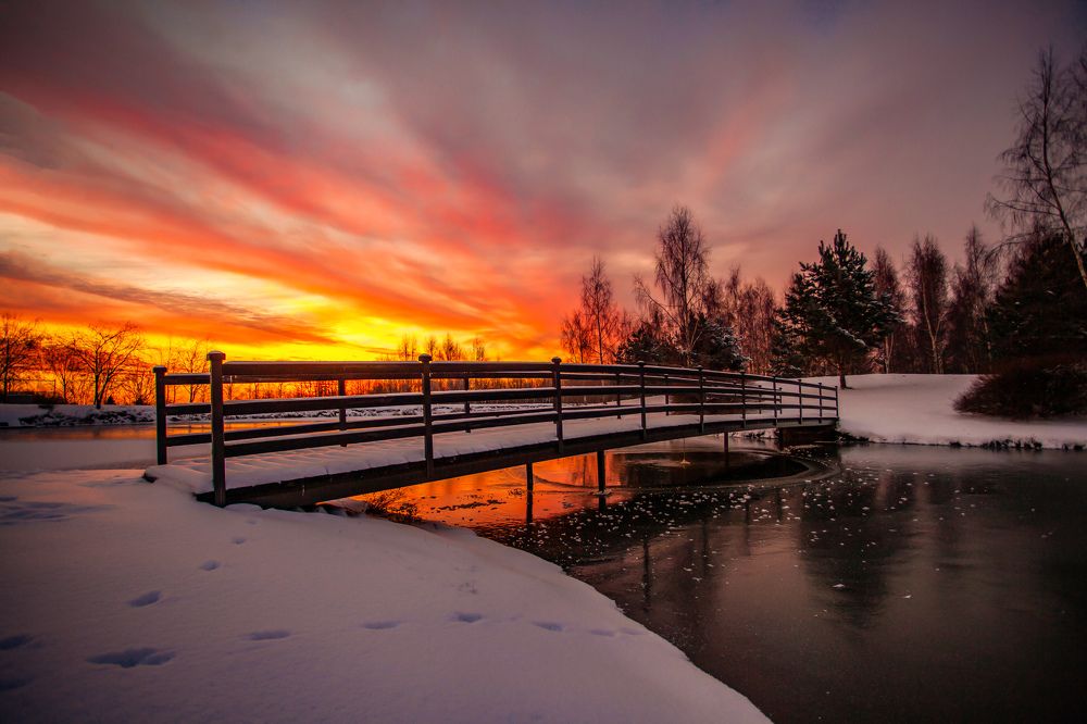 Photograph by andrei zorin