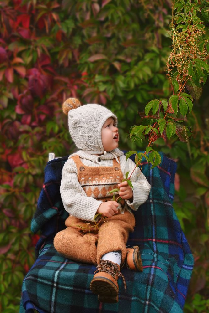 Моя осень золотая