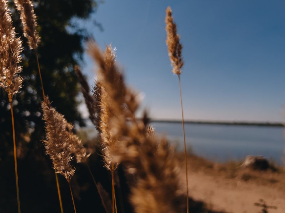 Photograph by Арина Бикчантаева