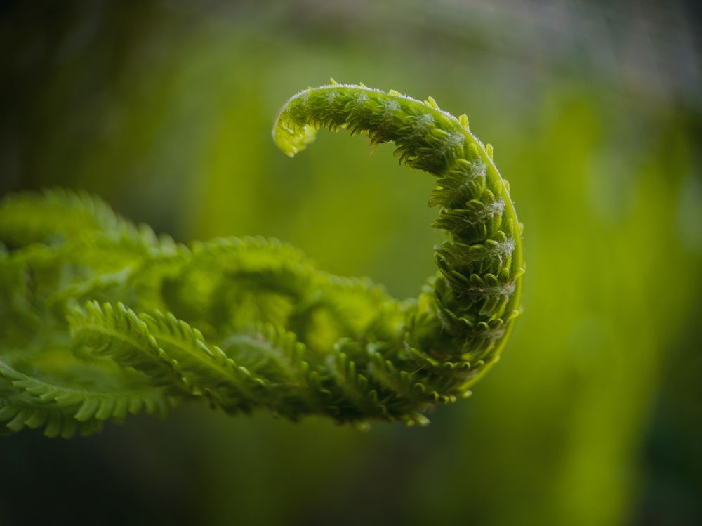 Photograph by Юрий Говорков