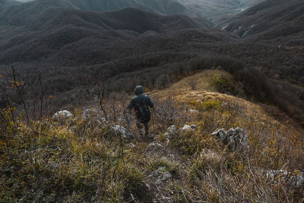 Photograph by Виталий Шкадинов