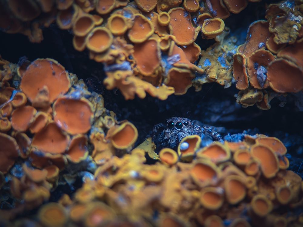 Photograph by Кристина Говоркова