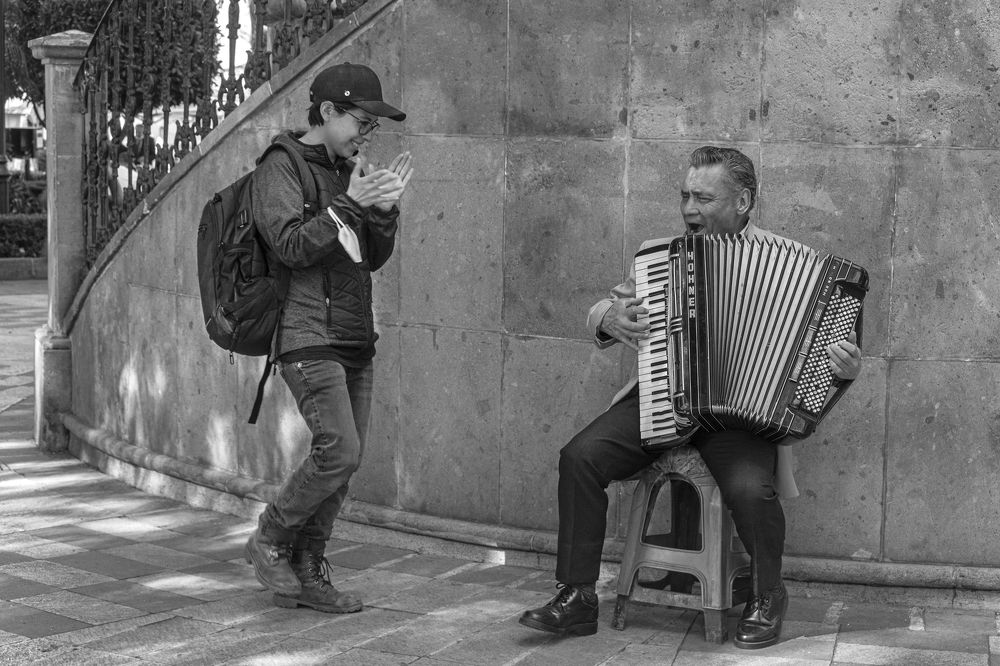 the accordionist