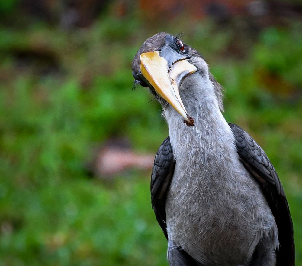 Photograph by Lahiru pathurana
